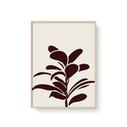 Plant Leaf White 02